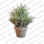 ADORNO PLANTITA FL00209