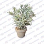 ADORNO PLANTITA FL00215