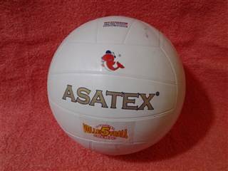 PELOTA VOLEY ASATEX