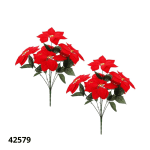 FLOR ESTRELLA FEDERAL