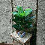 PLANTA COSTILLA DE ADAN 65CM (33114)