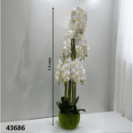 MACETA ORQUIDEA 1.5 MT (50943-2)