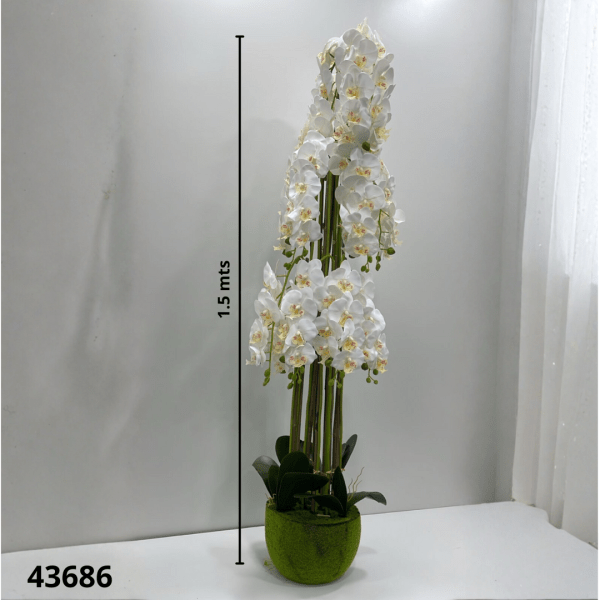 MACETA ORQUIDEA 1.5 MT (50943-2)