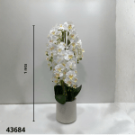 MACETA ORQUIDEA 1MT (50943-6)