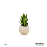 MACETA BLANCO 14CM REDONDO (C5112)