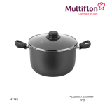 CACEROLA GOURMET MULTIFLON (N°26)