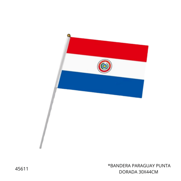BANDERA PARAGUAY PUNTA DORADA 30X44CM (XNGM-04)