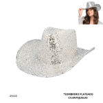 SOMBRERO PLATEADO C/LENTEJUELAS (HW05883)