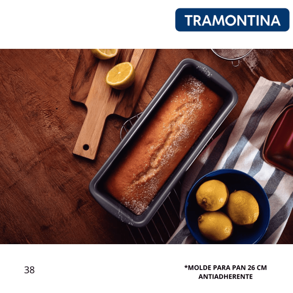 MOLDE P/PAN TRAMONTINA (20069/026)