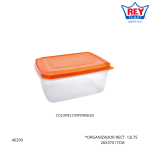 ORGANIZADOR RECT. 12LTS REY PLAST (RPX045000)