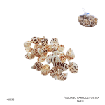 ADORNO CARACOLITOS SEA SHELL (QW-972)