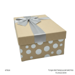 CAJA RECTANGULAR MOTAS 15,5X22,5CM