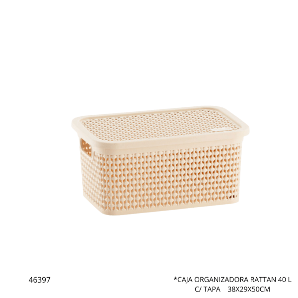 CAJA ORGANIZADORA ARENA 40LT 37X49X28CM RISCHIOTO (1151)